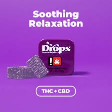 Drops – Blackberry 2-Piece (2:1 CBD:THC)