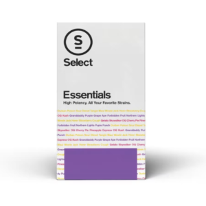 Essentials | Unicorn Bliss