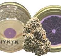 IYKYK Grapefruit Z